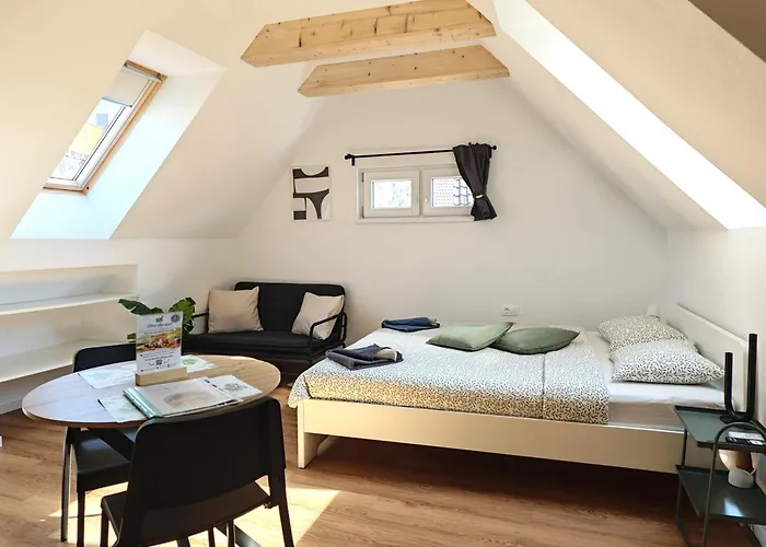 Slovenian House Mira