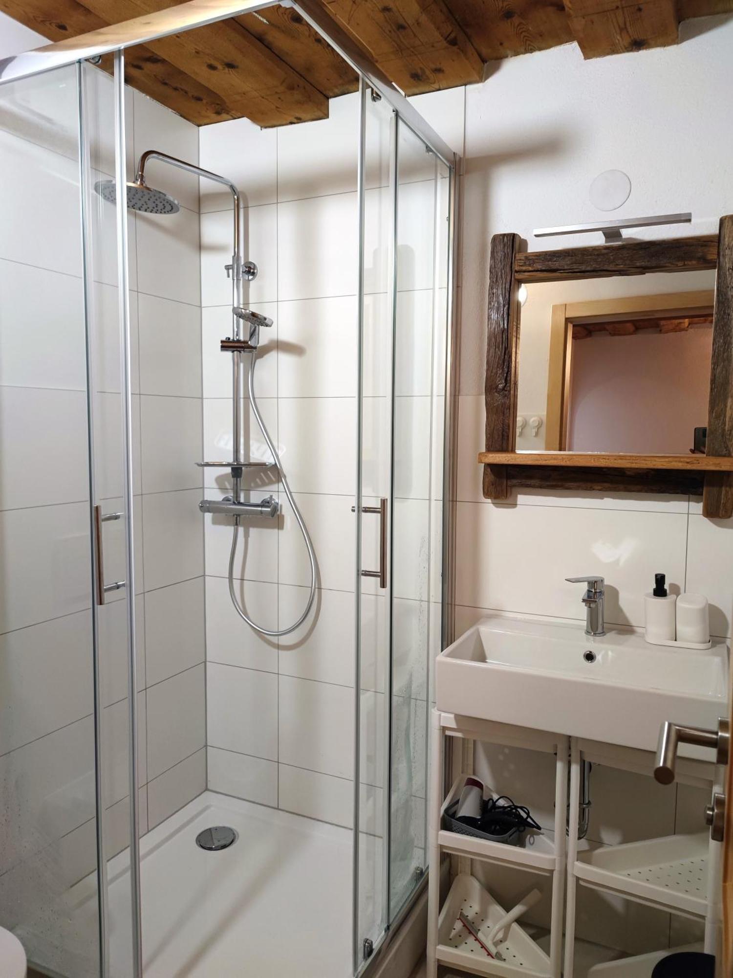 Slovenian House Mira Apartment